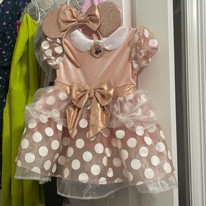 Rose gold Minnie Mouse 2T costume